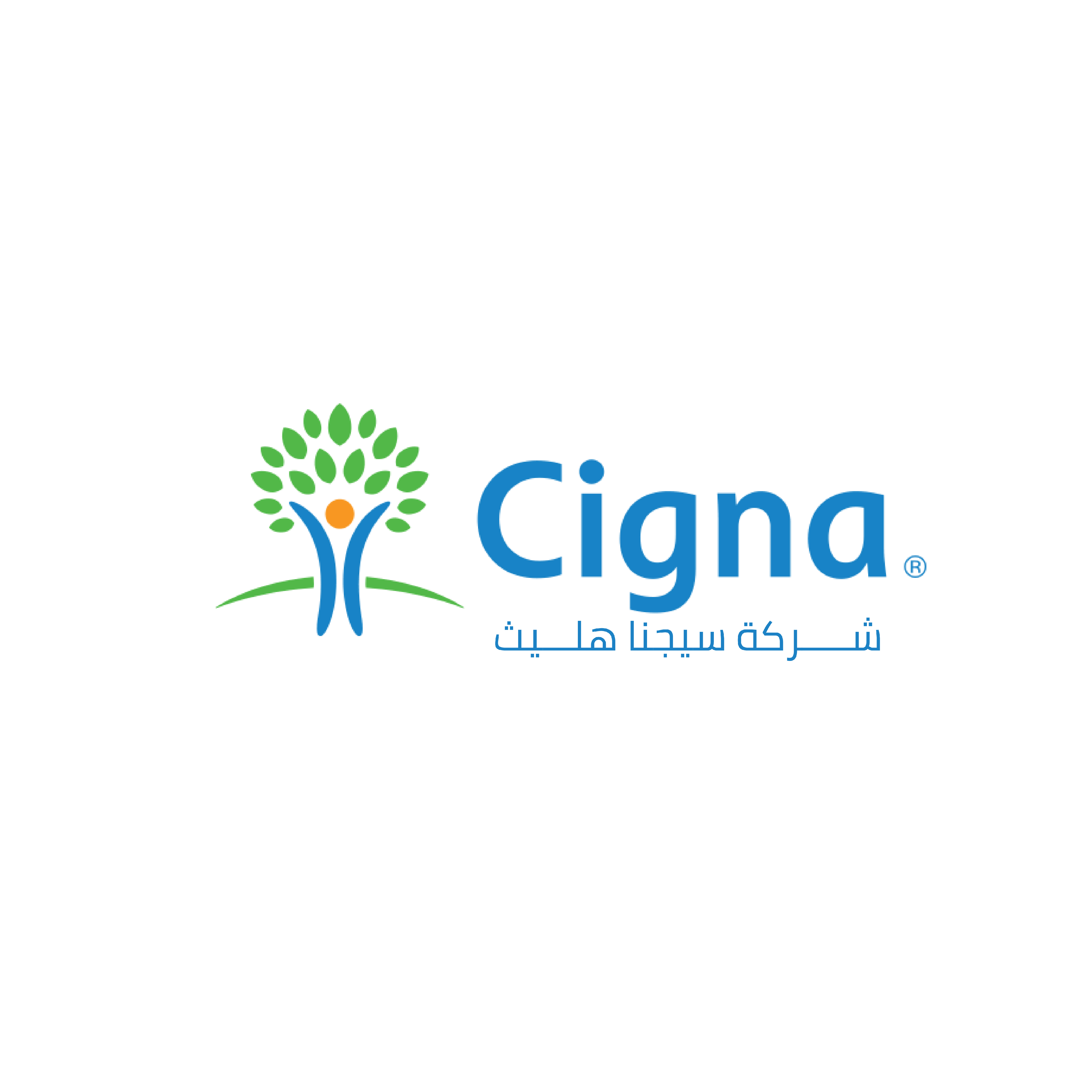 شركات التامين-31